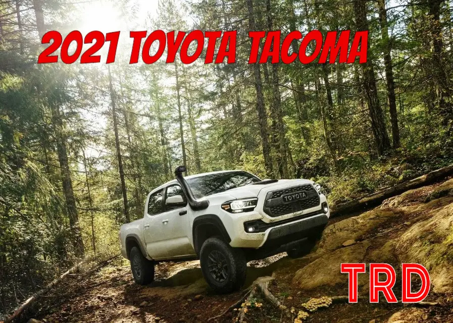 2021 Toyota Tacoma New Pictures